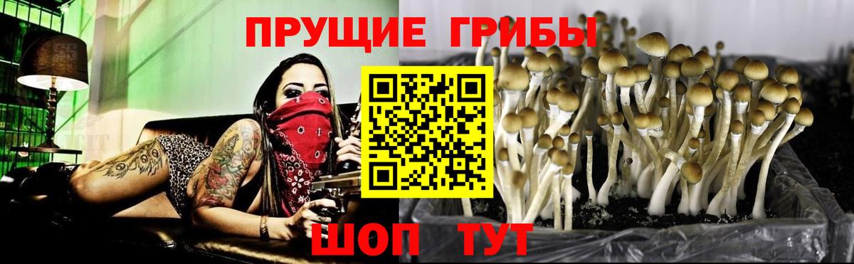 Галлюциногенные грибы Magic Shrooms Артёмовский